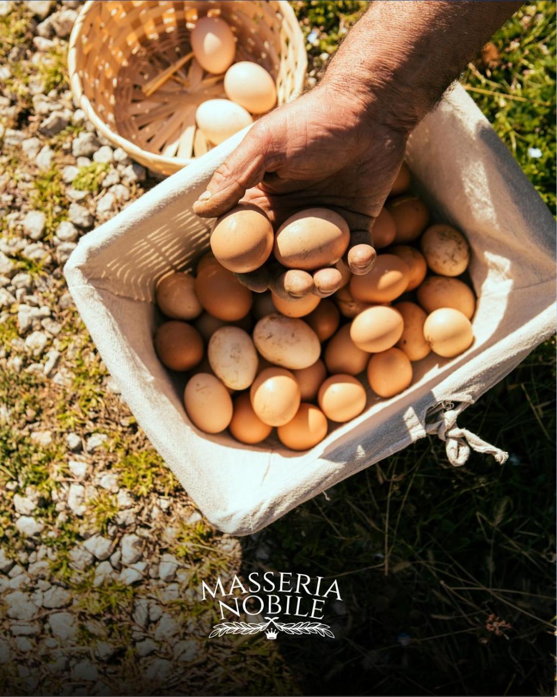 Masseria Nobile Relais