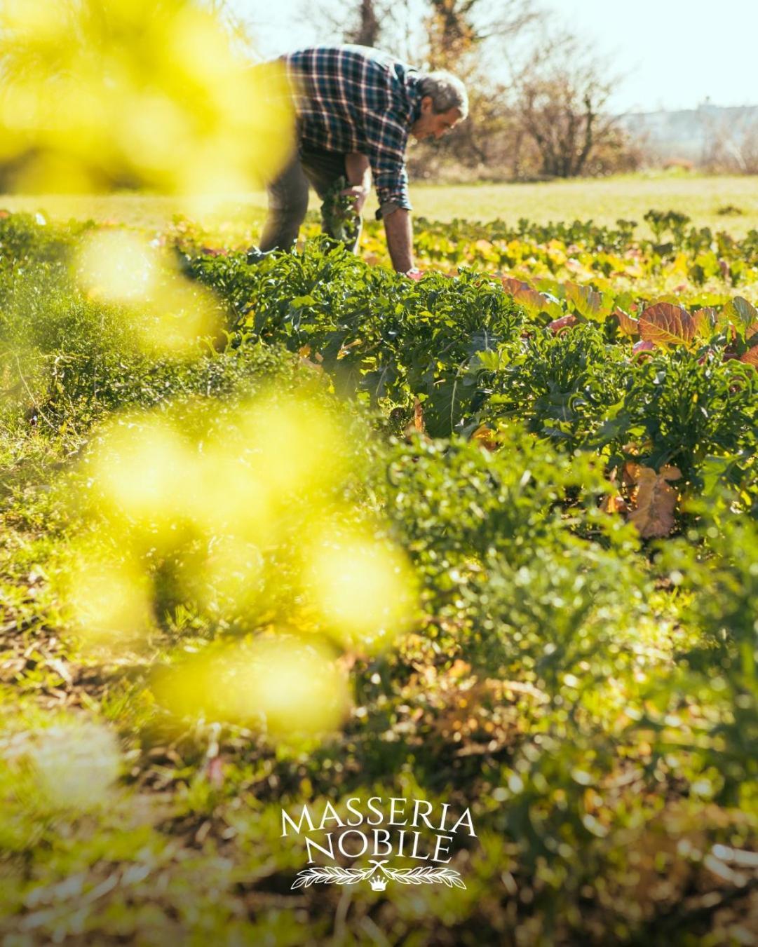 Masseria Nobile Relais *